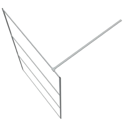 Inloopdouchewand 115X195 Cm Transparant Esg-Glas Zilverkleurig 115 x 195 cm Doorzichtig