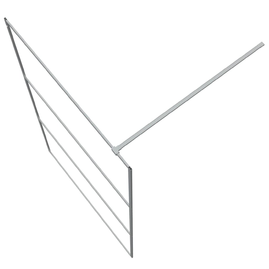 Inloopdouchewand 115X195 Cm Transparant Esg-Glas Zilverkleurig 115 x 195 cm Doorzichtig