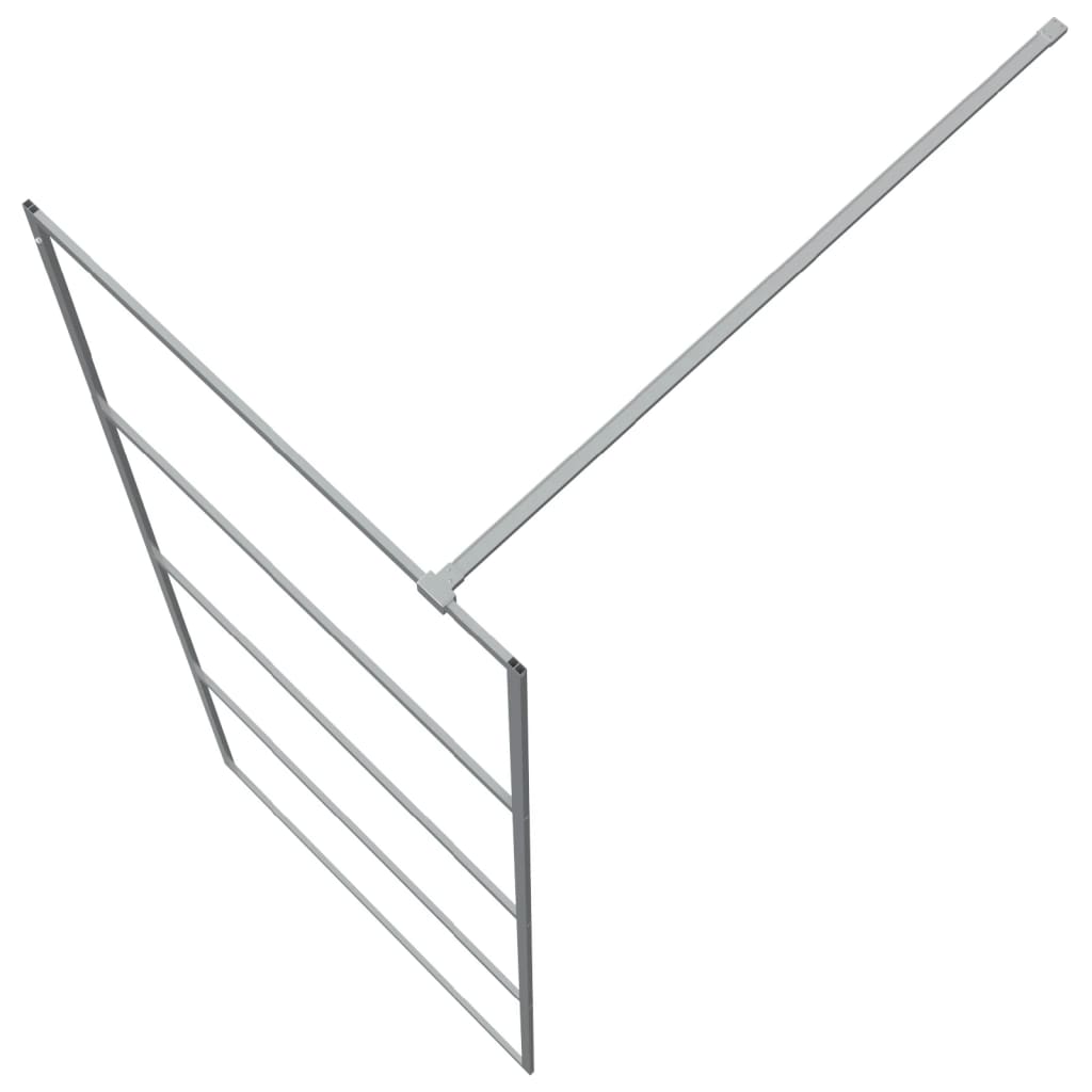 Inloopdouchewand 80x195 cm transparant ESG-glas zilverkleurig 80 x 195 cm Zilver