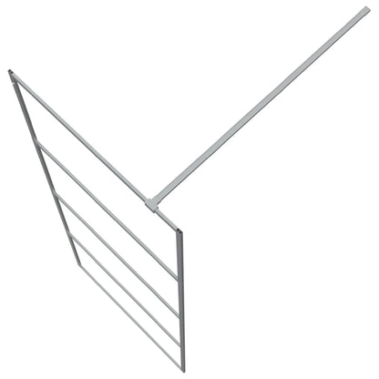 Inloopdouchewand 80x195 cm transparant ESG-glas zilverkleurig 80 x 195 cm Zilver