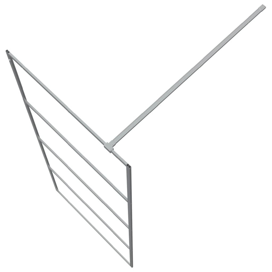Inloopdouchewand 80x195 cm transparant ESG-glas zilverkleurig 80 x 195 cm Zilver
