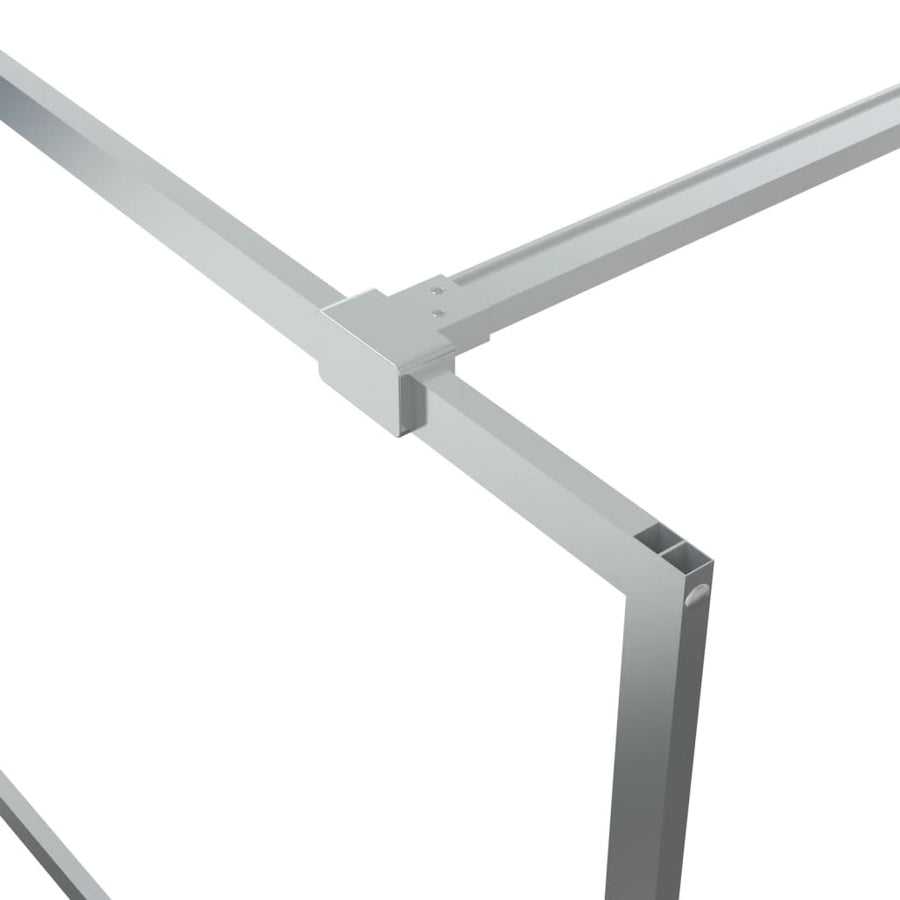 Inloopdouchewand 80x195 cm transparant ESG-glas zilverkleurig 80 x 195 cm Zilver
