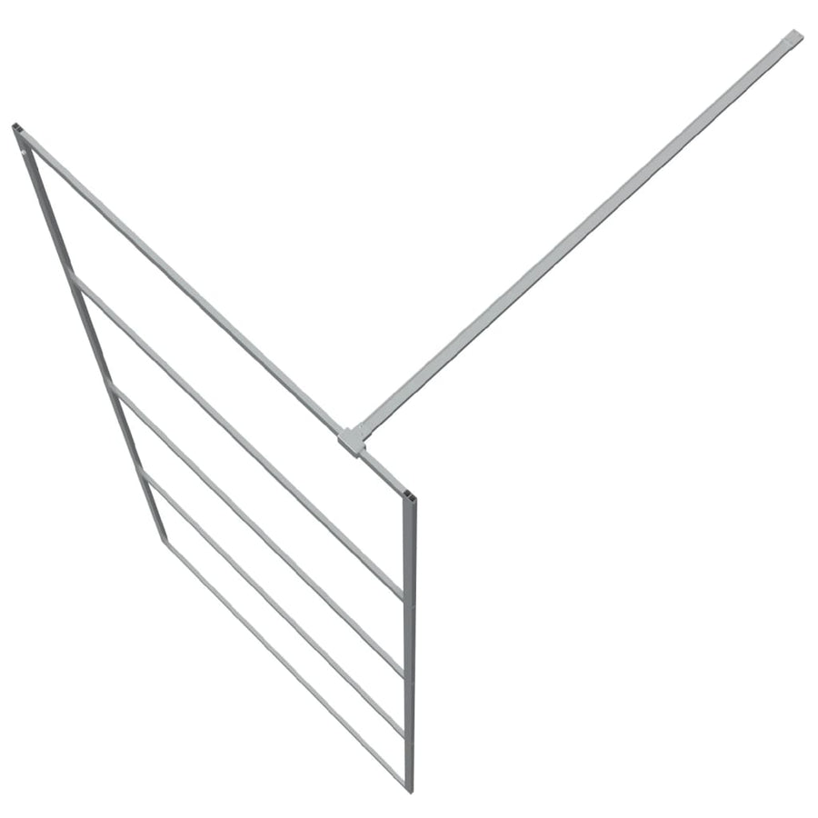 Inloopdouchewand Transparant Esg-Glas Kleurig 90 x 195 cm Zilver Doorzichtig