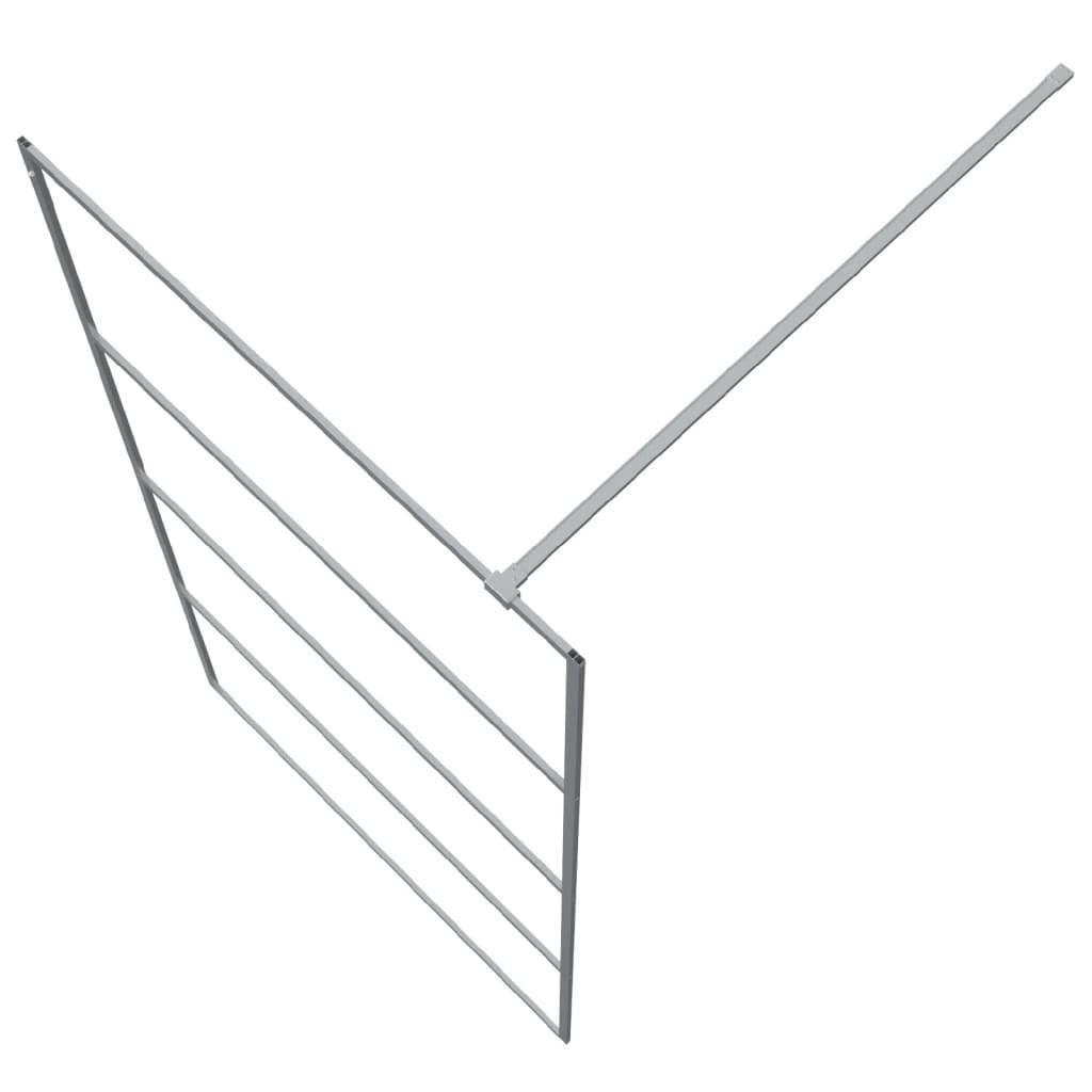 Inloopdouchewand 100x195 cm transparant ESG-glas zilverkleurig 100 x 195 cm Zilver