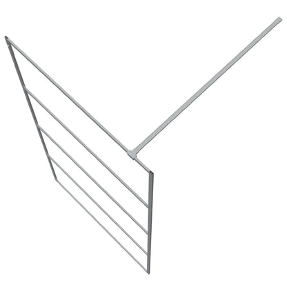 Inloopdouchewand 100x195 cm transparant ESG-glas zilverkleurig 100 x 195 cm Zilver