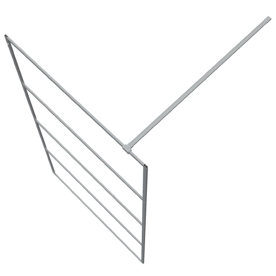 Inloopdouchewand 100x195 cm transparant ESG-glas zilverkleurig 100 x 195 cm Zilver