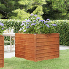 Plantenbak verhoogd 100x100x77 cm cortenstaal