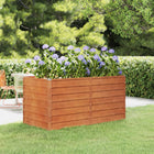 Plantenbak verhoogd 160x80x77 cm cortenstaal
