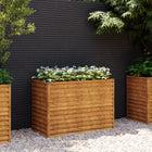 Verhoogde plantenbak 100x50x69 cm cortenstaal