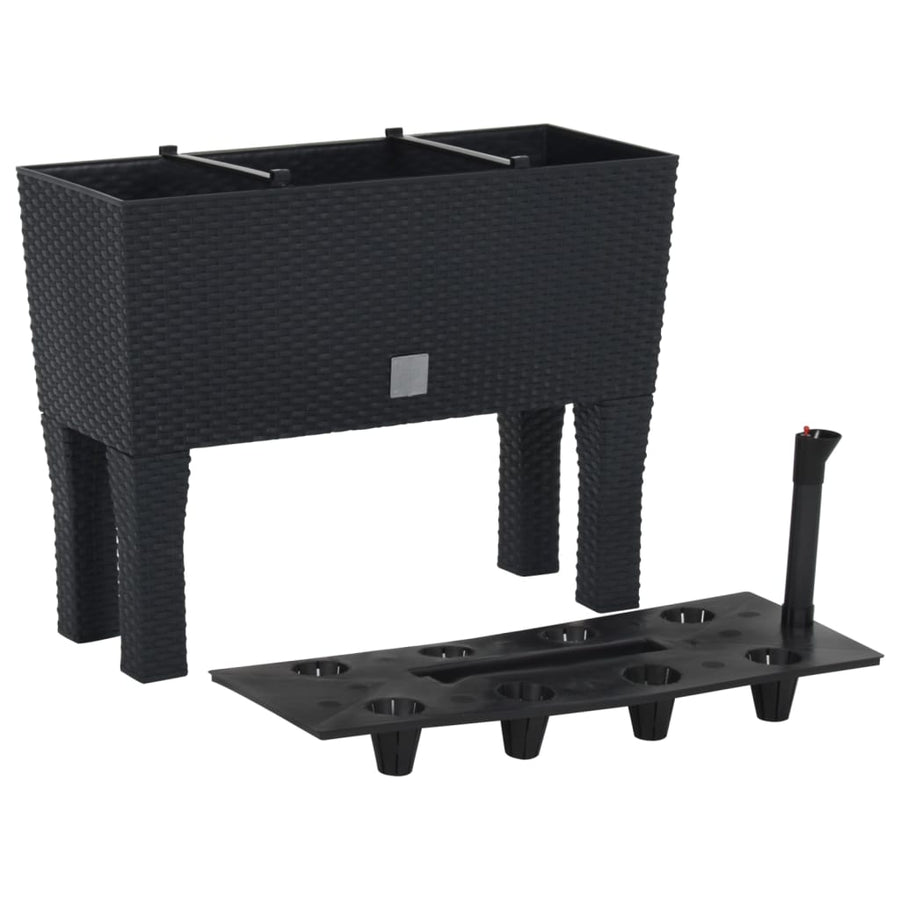 Plantenbak Verhoogd 60X25X46 Cm Pp Rattan Antracietkleurig