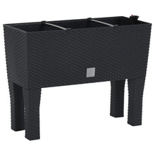 Plantenbak Verhoogd 60X25X46 Cm Pp Rattan Antracietkleurig