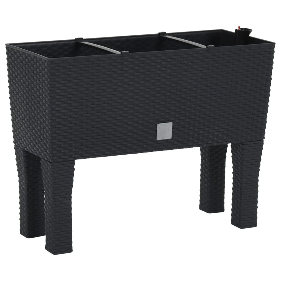 Plantenbak Verhoogd 60X25X46 Cm Pp Rattan Antracietkleurig