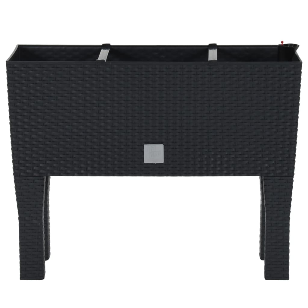 Plantenbak Verhoogd 60X25X46 Cm Pp Rattan Antracietkleurig