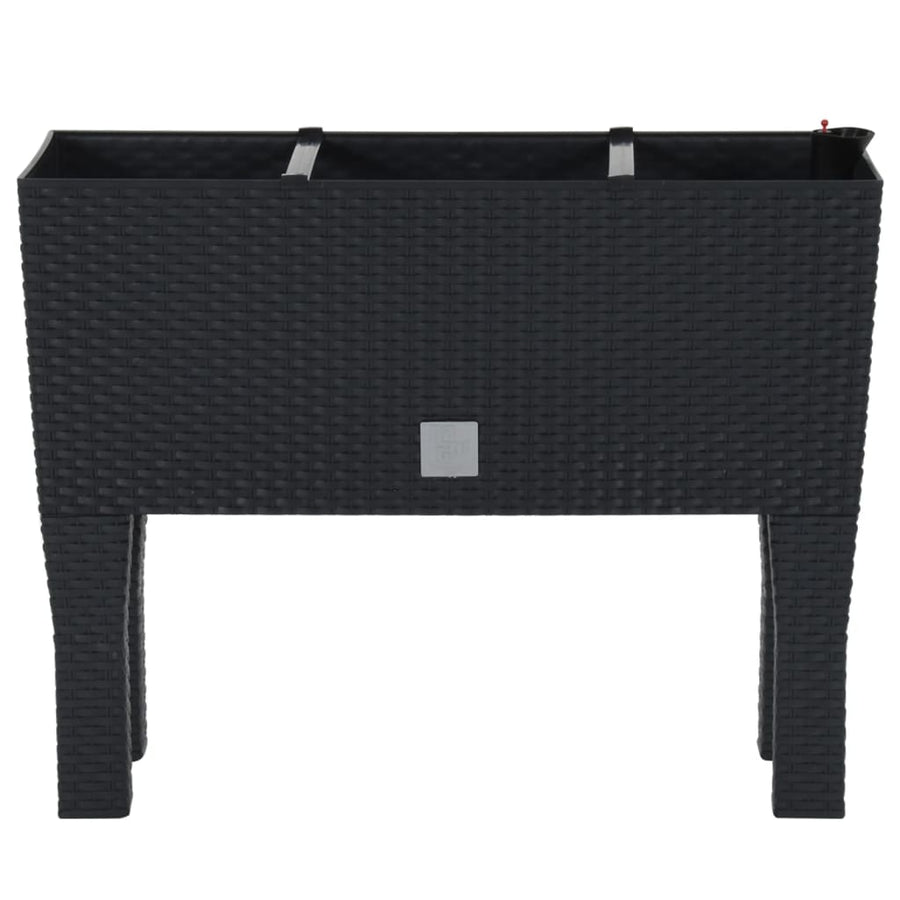 Plantenbak Verhoogd 60X25X46 Cm Pp Rattan Antracietkleurig