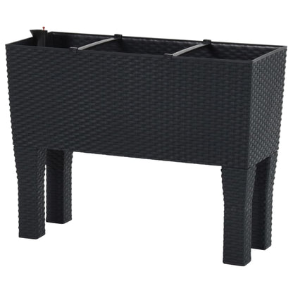 Plantenbak Verhoogd 60X25X46 Cm Pp Rattan Antracietkleurig