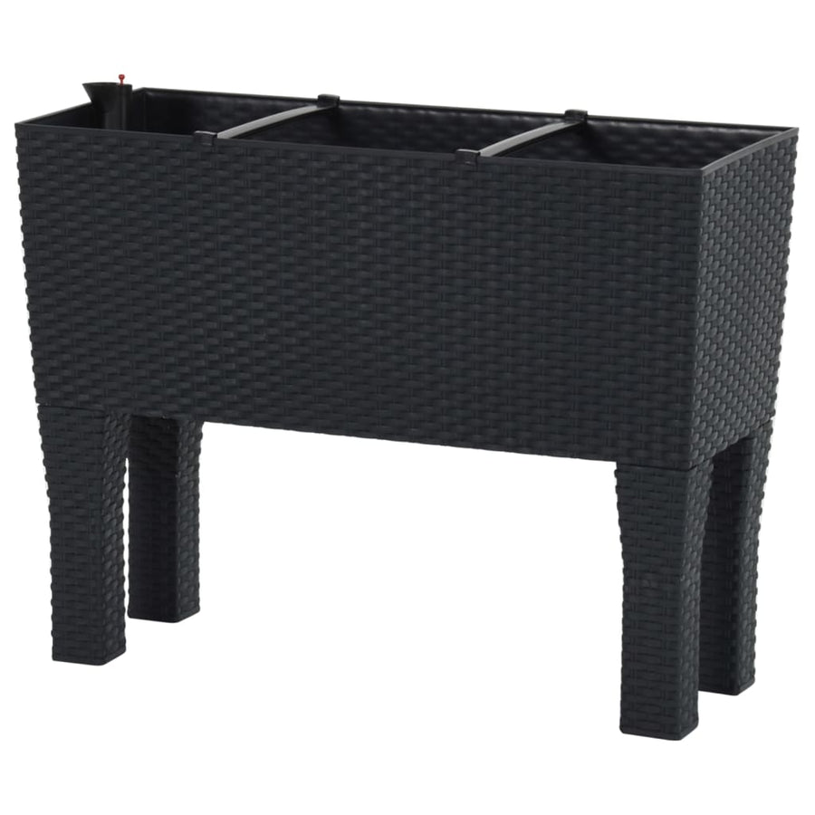 Plantenbak Verhoogd 60X25X46 Cm Pp Rattan Antracietkleurig