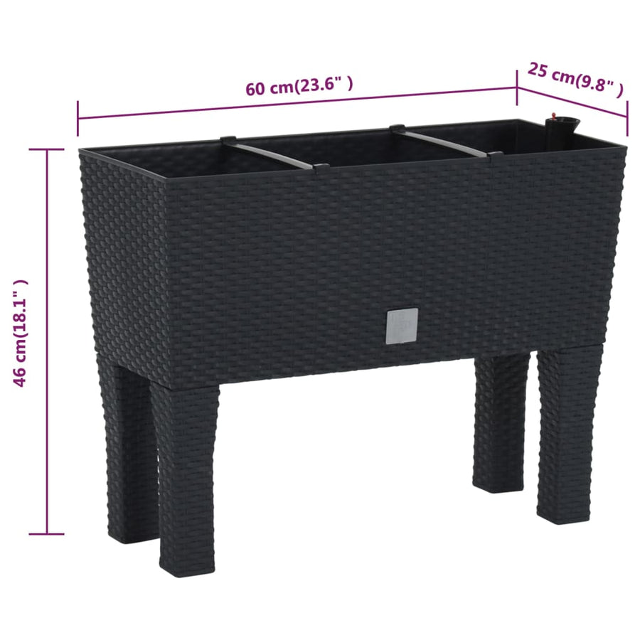 Plantenbak Verhoogd 60X25X46 Cm Pp Rattan Antracietkleurig
