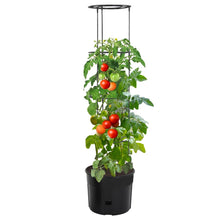 Tomatenkweekpot Ø39X150 Cm Polypropeen Antracietkleurig Ø 39 x 150 cm