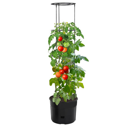 Tomatenkweekpot Ø39X150 Cm Polypropeen Antracietkleurig Ø 39 x 150 cm