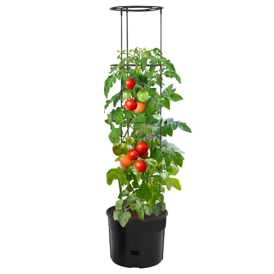 Tomatenkweekpot Ø39X150 Cm Polypropeen Antracietkleurig Ø 39 x 150 cm