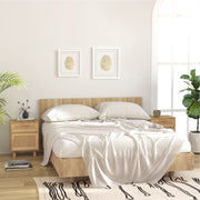 Nachtkastjes 2 st massief grenenhout poly rattan bruin 40x30x50 cm