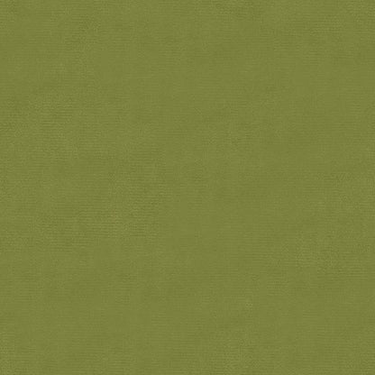 Eetkamerstoelen Draaibaar Fluweel Lichtgroen