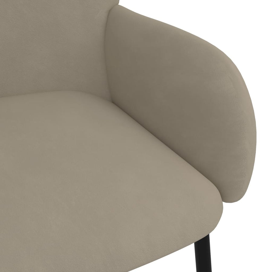 Eetkamerstoelen Fluweel Lichtgrijs