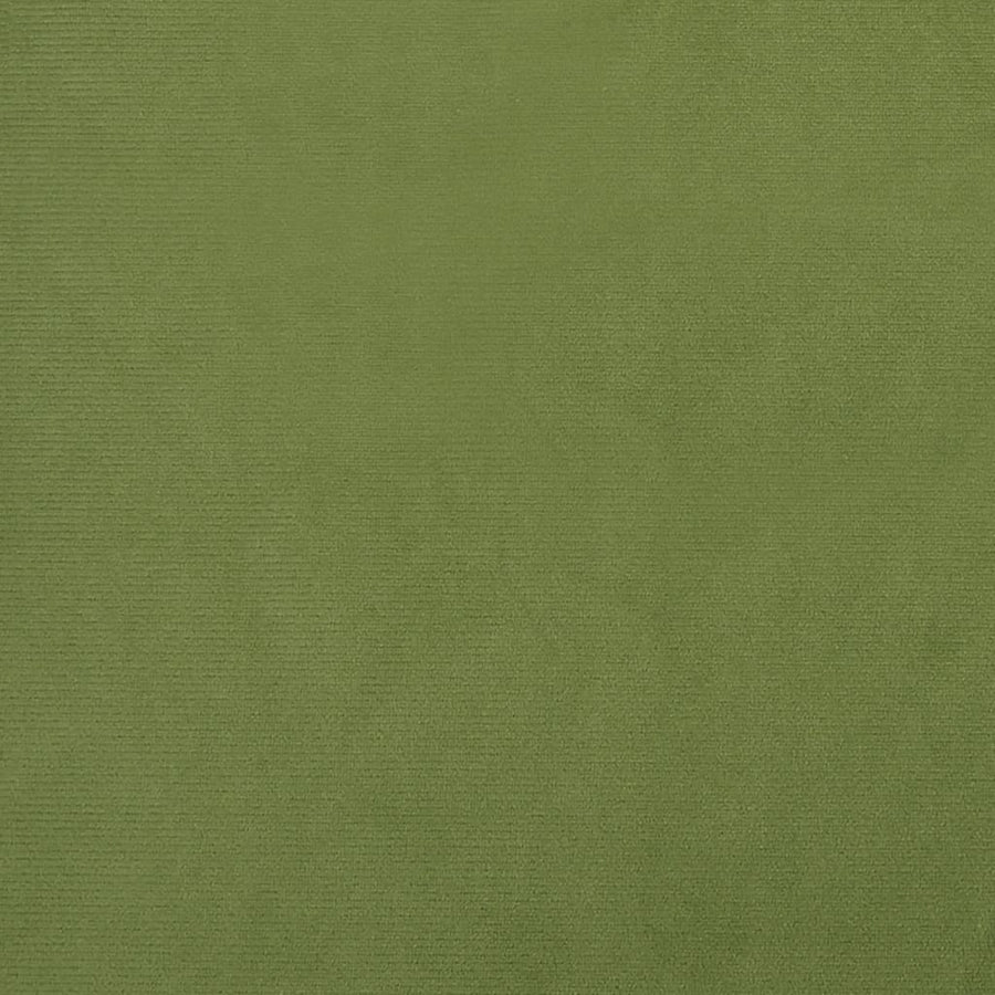 Eetkamerstoelen 2 st fluweel lichtgroen
