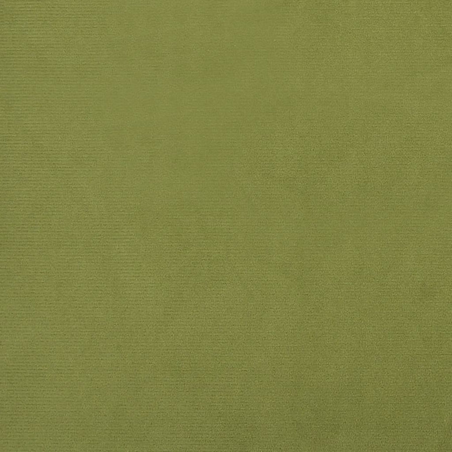 Fauteuil Met Voetenbank Fluweel Lichtgroen 1 Met voetensteun