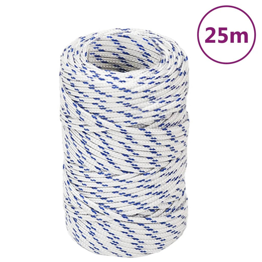 Boottouw Polypropeen Wit En Blauw 2 mm 25 m