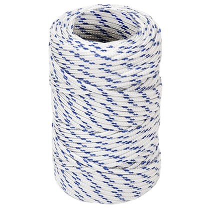 Boottouw Polypropeen Wit En Blauw 2 mm 25 m