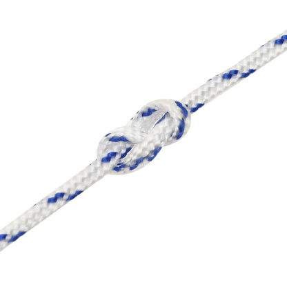 Boot Touw 2 Mm 50 M Polypropyleen Wit Wit en blauw