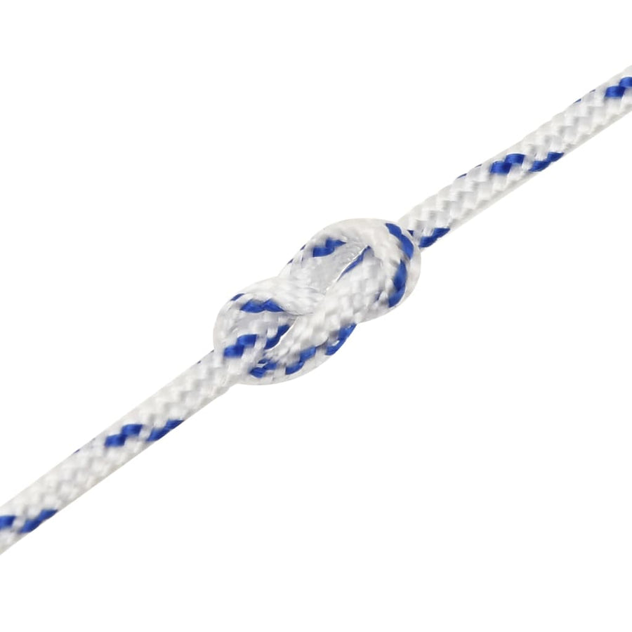 Boot Touw 2 Mm 50 M Polypropyleen Wit Wit en blauw