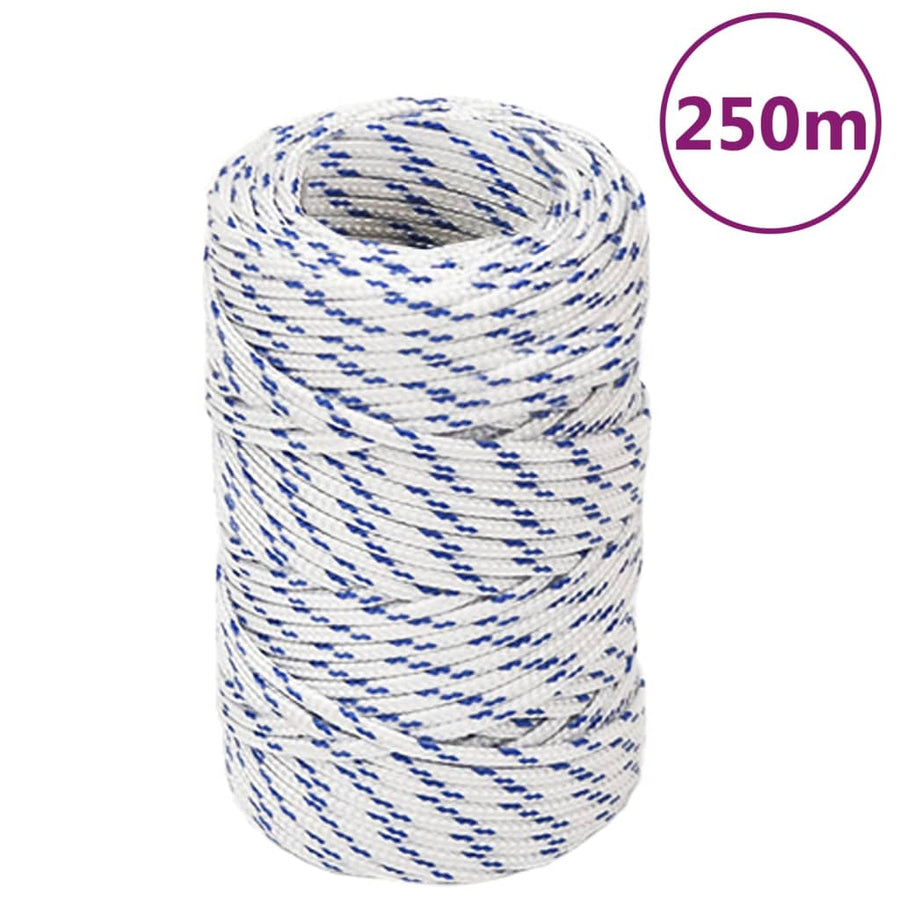 Boottouw Polypropyleen Wit En Blauw 2 mm 250 m