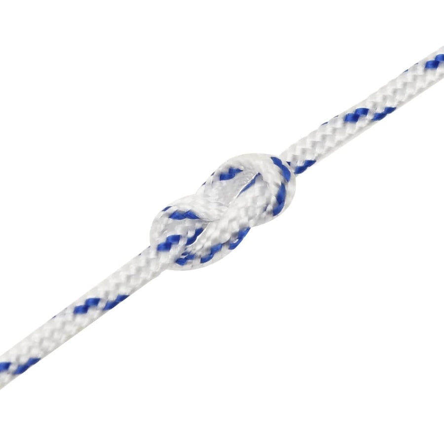 Boot Touw Polypropyleen Wit En Blauw 2 mm 500 m