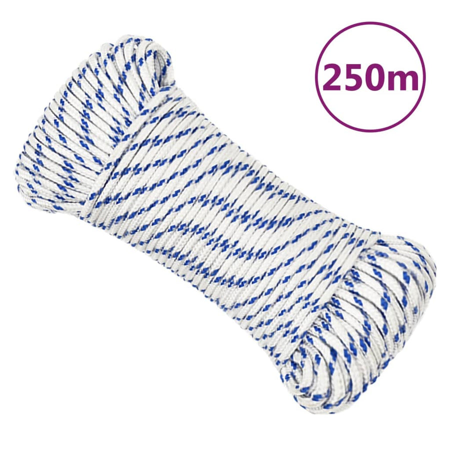 Boot Touw Polypropyleen Wit En Blauw 3 mm 250 m