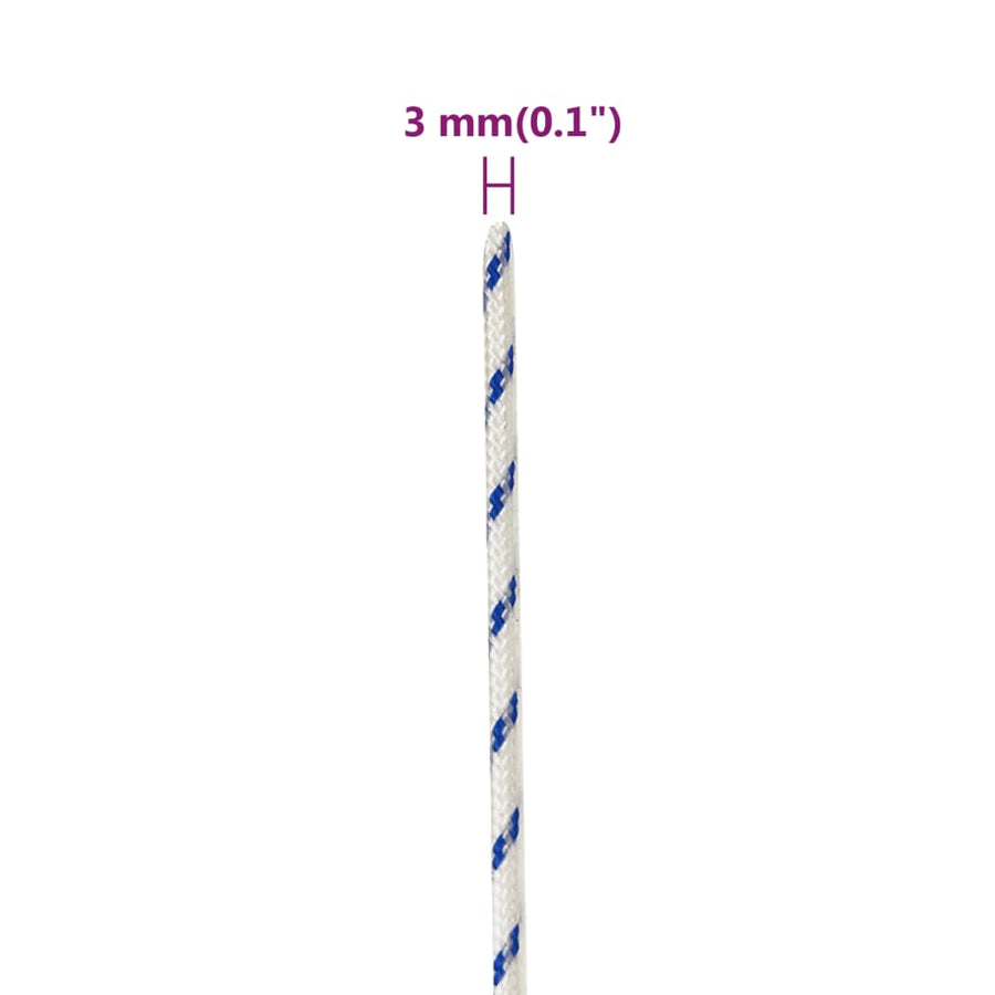 Boot Touw Polypropyleen Wit En Blauw 3 mm 500 m