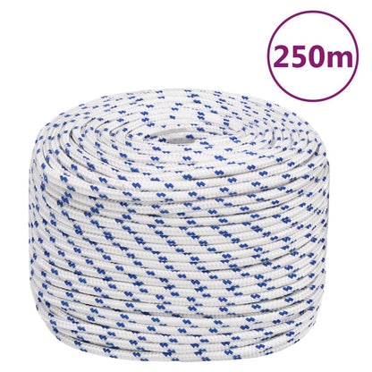 Boot Touw Polypropyleen Wit En Blauw 6 mm 250 m