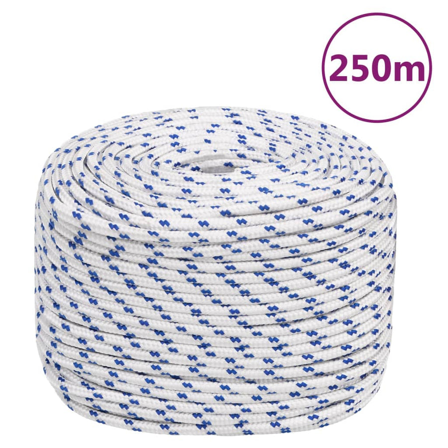 Boot Touw Polypropyleen Wit En Blauw 6 mm 250 m