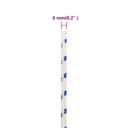 Boot Touw Polypropyleen Wit En Blauw 6 mm 250 m
