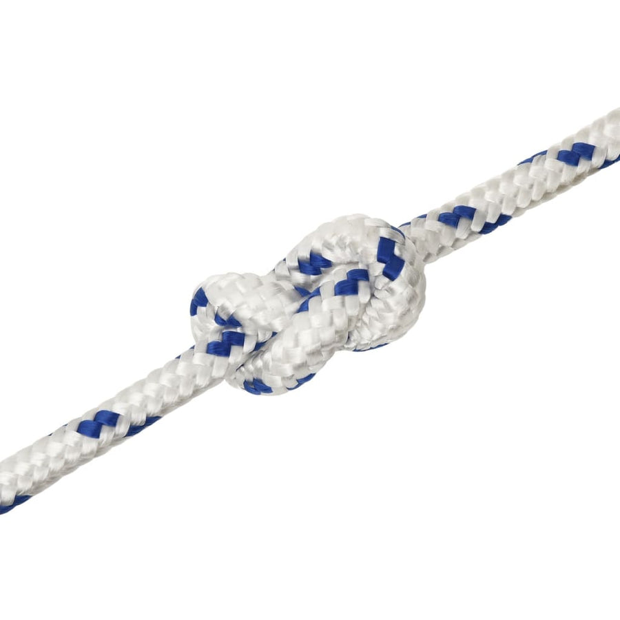 Boot Touw 2 Mm Polypropyleen Wit En Blauw 12 mm 25 m
