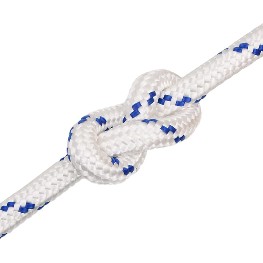 Boot Touw Polypropyleen Wit En Blauw 20 mm 25 m