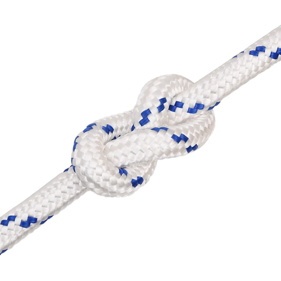 Boot Touw Polypropyleen Wit En Blauw 20 mm 50 m