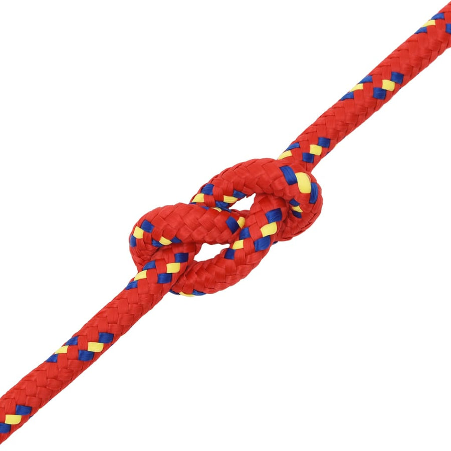 Boottouw 2 Mm 00 M Polypropyleen Rood 12 mm 100 m