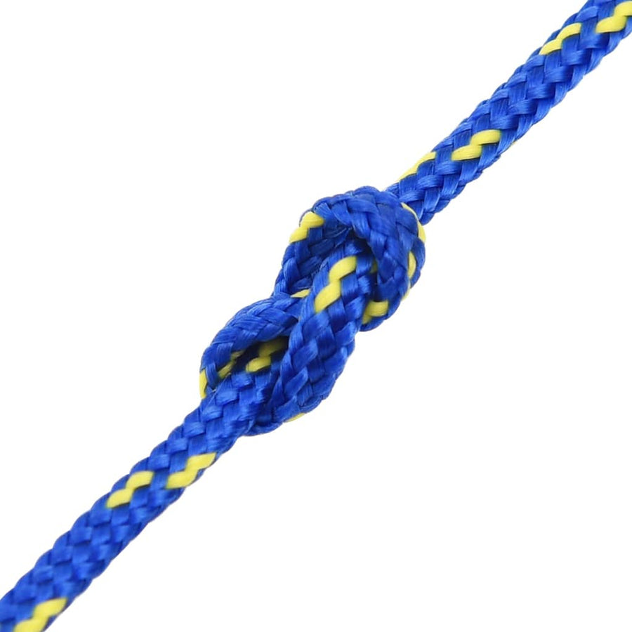 Boottouw 2 mm 100 m polypropyleen blauw 2 mm 100 m