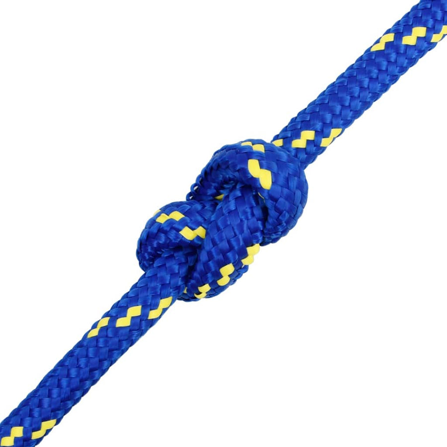Boottouw 6 Mm Polypropeen Blauw 16 mm 25 m