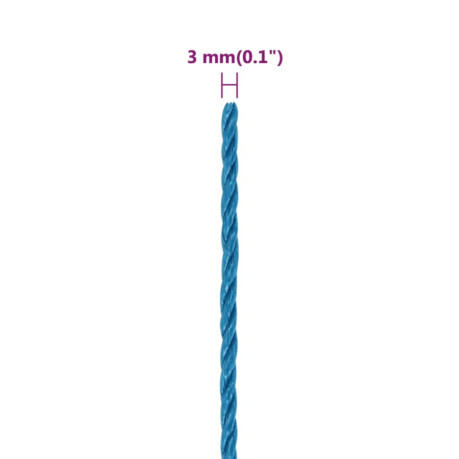 Werktouw 3 mm 25 m polypropeen blauw 3 mm 25 m