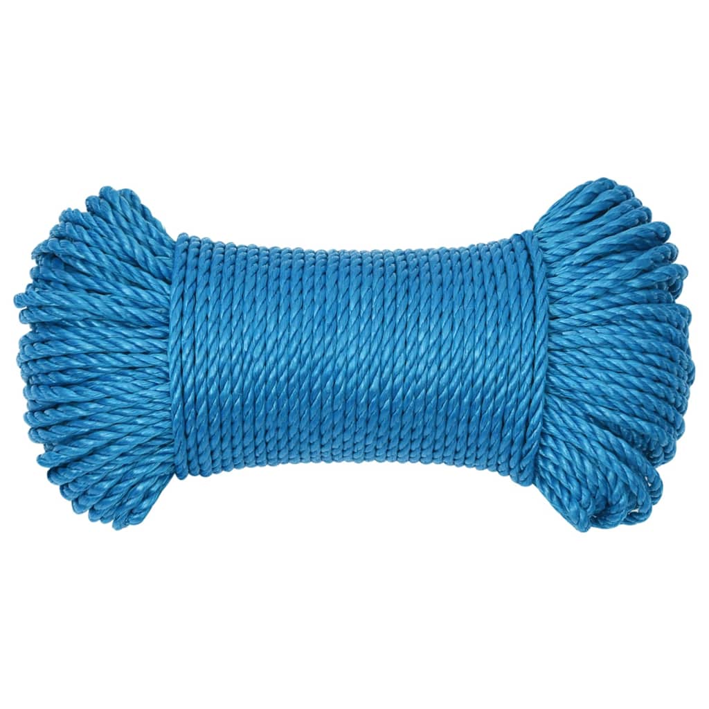 Werktouw 6 mm 25 m polypropeen blauw 6 mm 25 m
