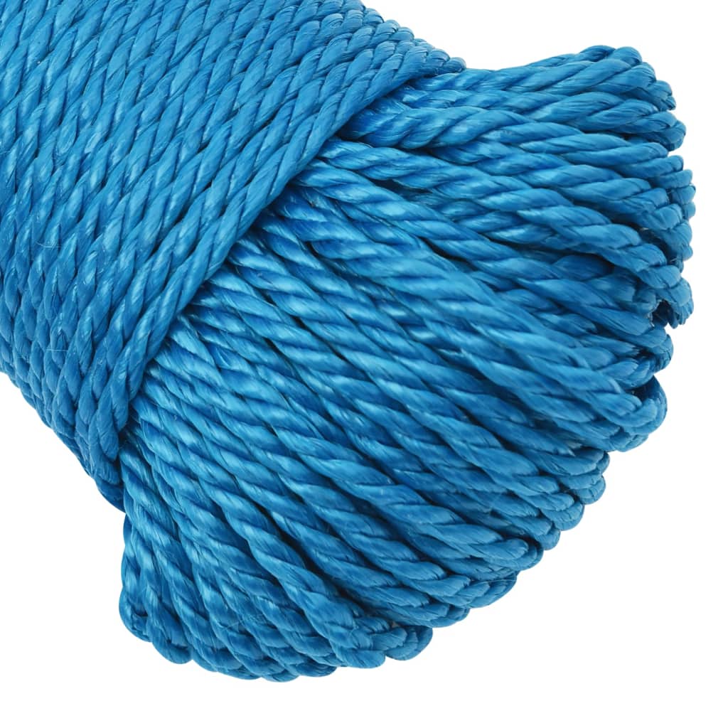 Werktouw 6 mm 25 m polypropeen blauw 6 mm 25 m