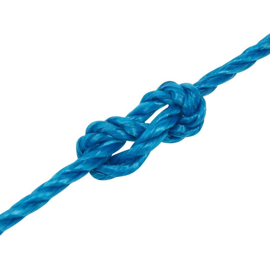 Werktouw 8 Mm 250 M Polypropeen Blauw 1